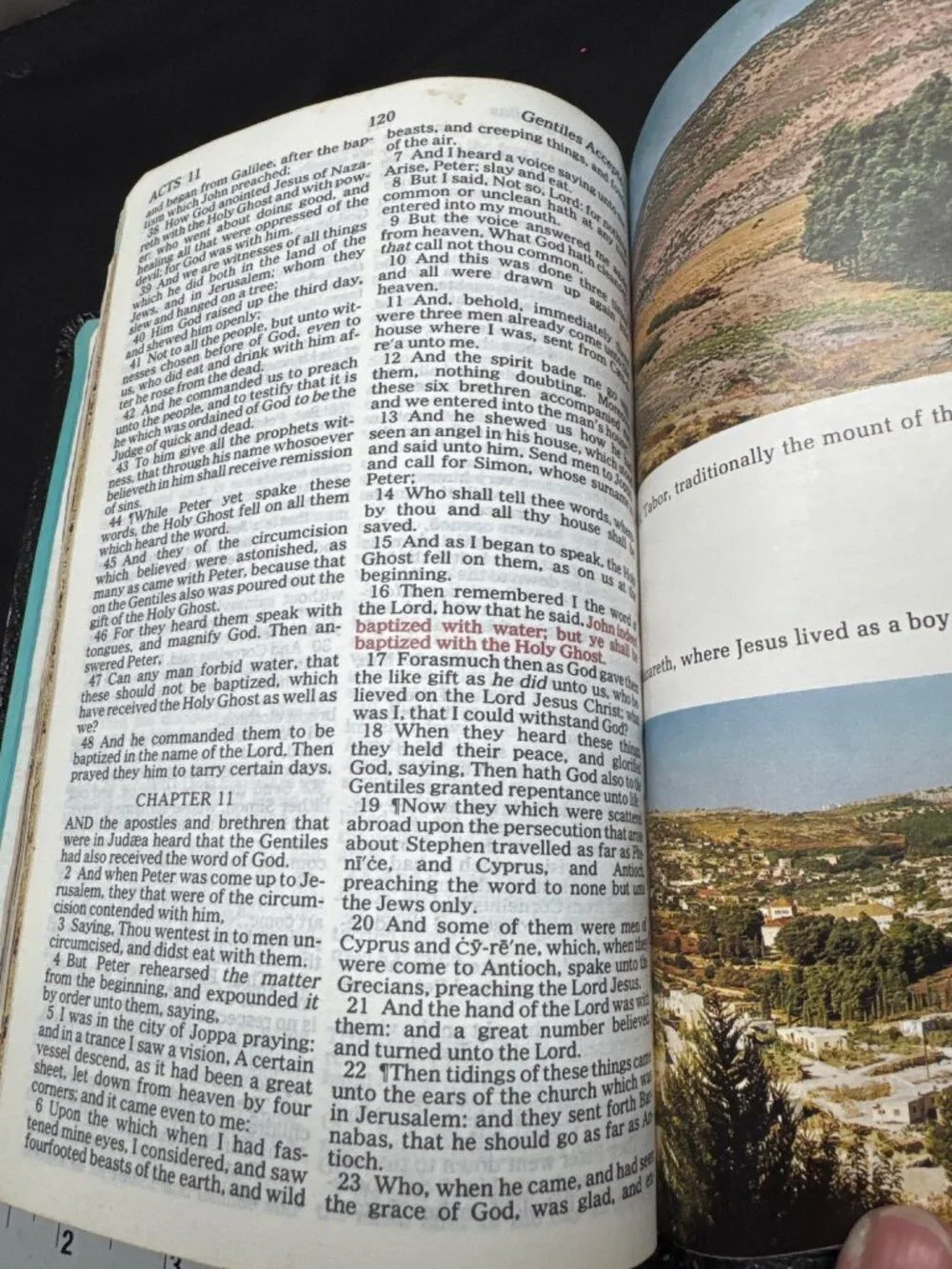 The Holy Bible King James READ Version Red Letter Edition Family Records Section